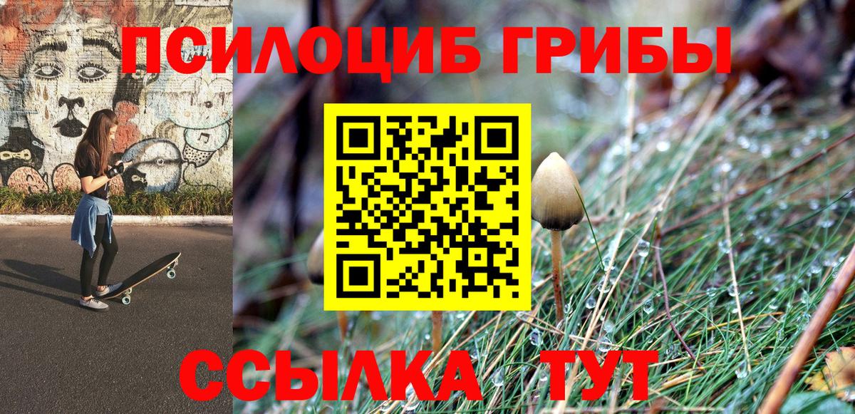 Псилоцибиновые грибы Psilocybe  Вход с VPN  Озёры 
